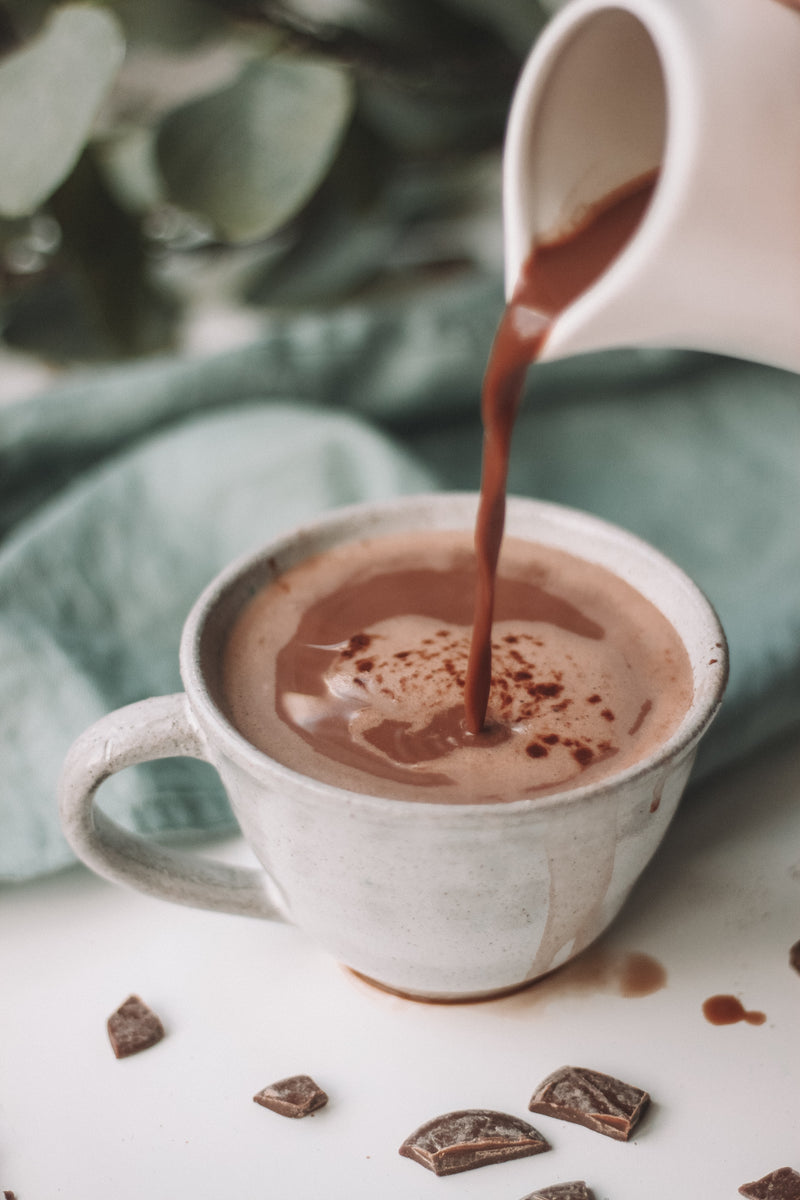 Homemade Hot Cocoa – Shop.FallingBarkFarm